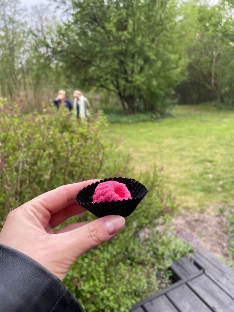 Słodki poczęstunek podczas spotkania w Przystajni